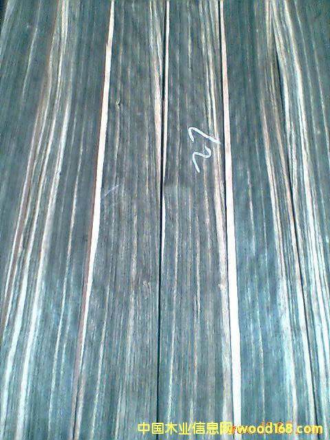 ��̴ľƤ��Ԕ��(x��)��B