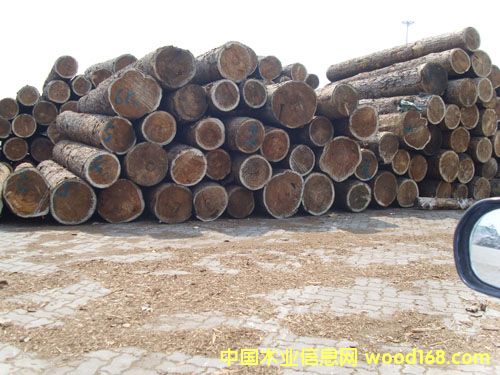 �c���鿴�ǽ�ľ���Ј��Ŵ�DƬ