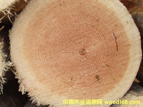 �c���鿴�ǽ�ľ�ķŴ�DƬ