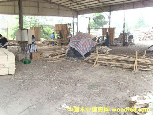 �c���鿴�ǽ��ӹ�ľ�ķŴ�DƬ