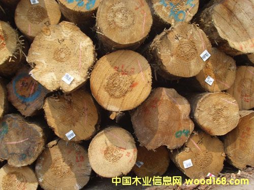 �c���鿴�ǽ��M(j��n)��ľ�ķŴ�DƬ