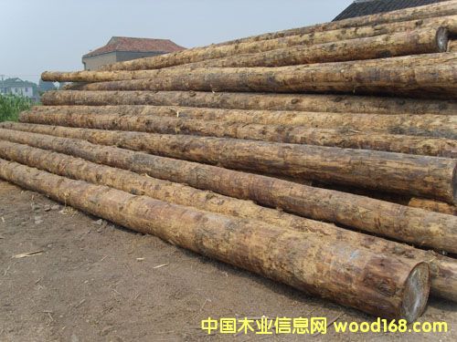 �c���鿴�ǽ�ľ��ԭľ�Ŵ�DƬ