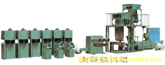 ��Ĥ���z�C