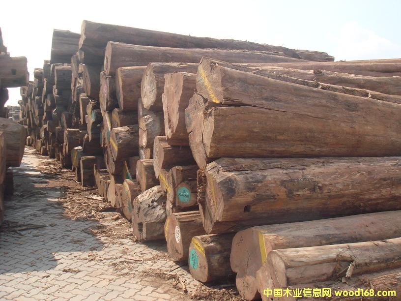 �c���鿴������ľ�Ŵ�DƬ