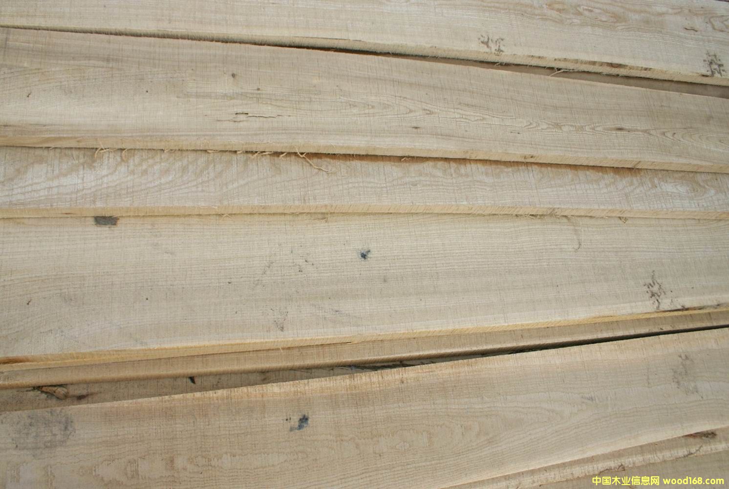 �c(di��n)���鿴��ľ���1�Ŵ�DƬ