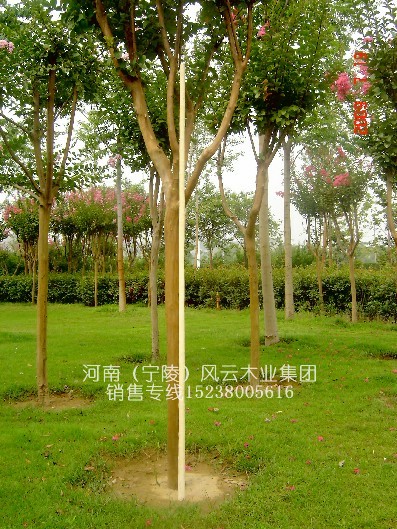 �������l(f��)��Ʒ��Ϟ�U���g(sh��)��(�L1.6~2��,ֱ��2.8����)5��Ԕ����B