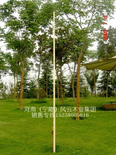 ����4.8��̫�O��U/���̫�Oʮ���U/���y(t��ng)��Ϟ��U ��Ԕ����B