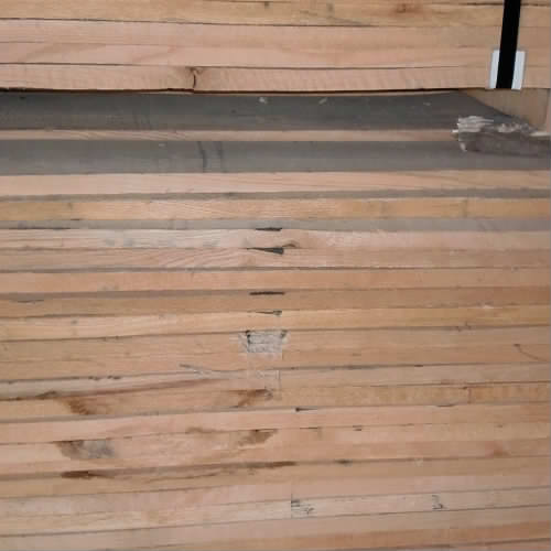 �t���Ԕ��(x��)��B