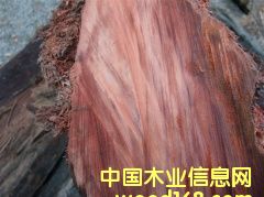 �t��ɼˮ��ľ��Ԕ����B