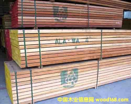 ����ľ��Ԕ����B