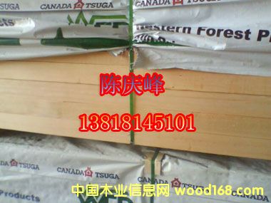 �Fɼ��Ԕ��(x��)��B