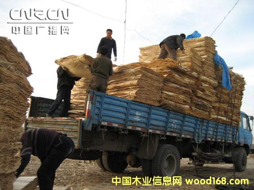 ��Ƥ��Ԕ��(x��)��B