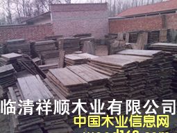 ����ľ�T���Ԕ����B