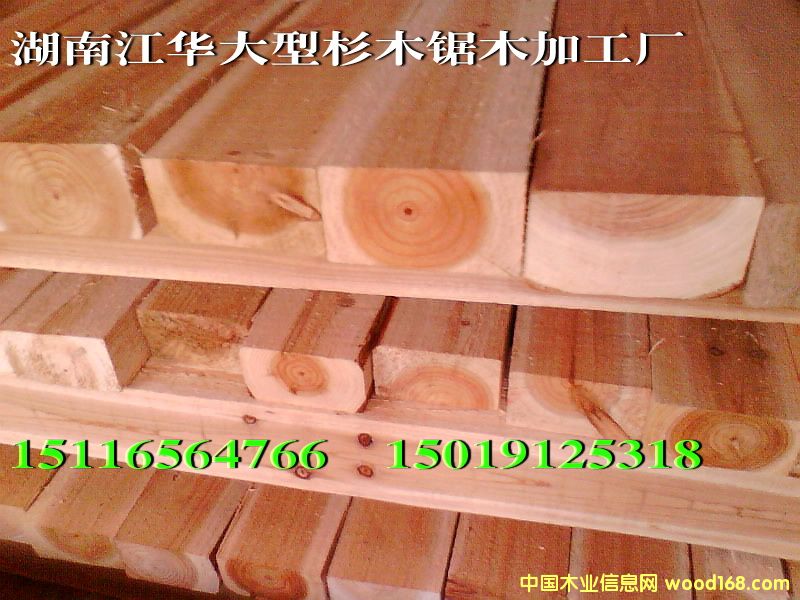 ����ɼľ�ӹ��S����(y��ng)��Ԕ��(x��)��B