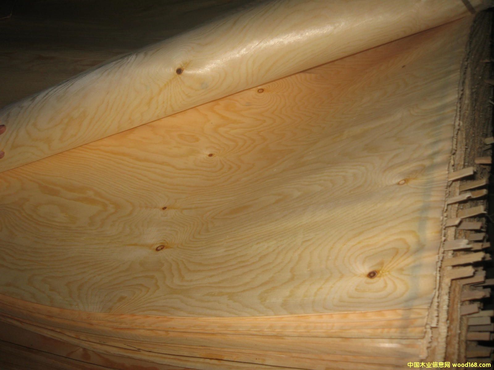 ��ľƤ��Ԕ����B