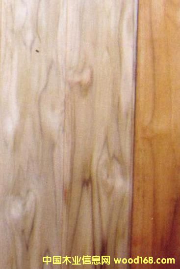 FSC��ľ��Ԕ��(x��)��B