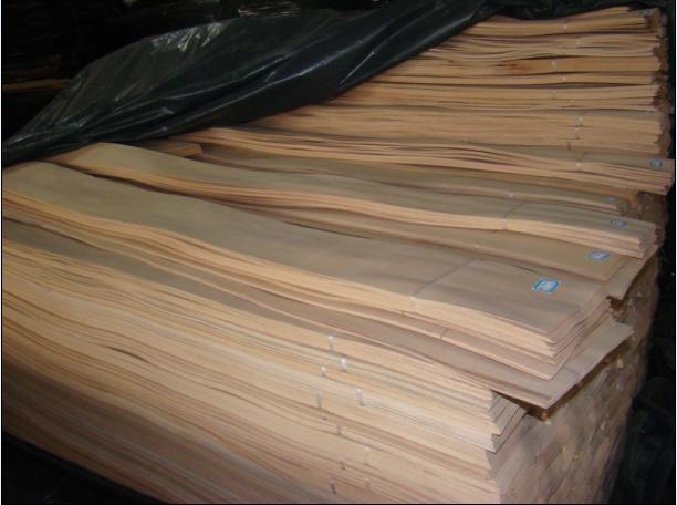 �t��ľƤ��Ԕ��(x��)��B