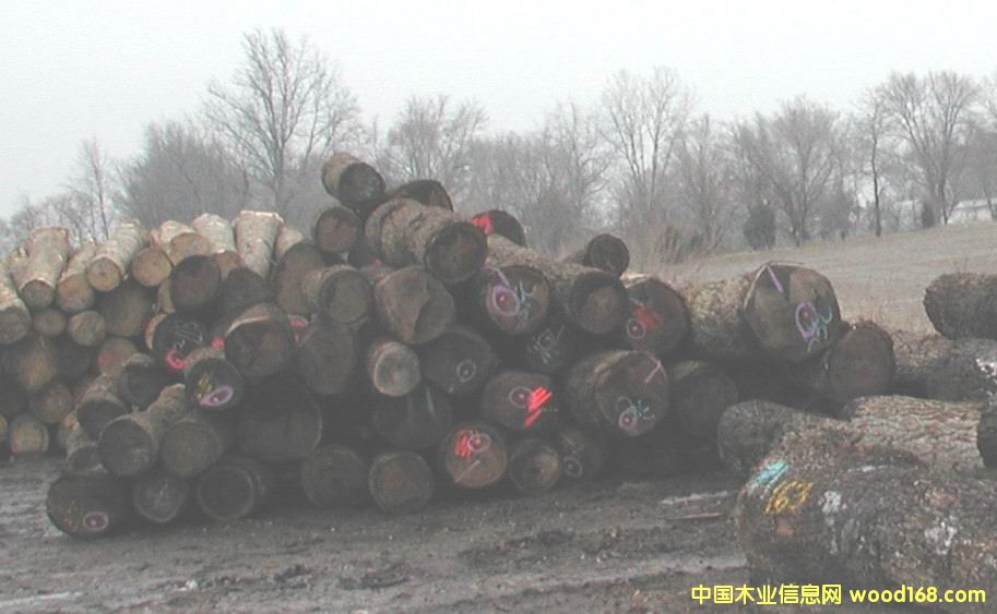 ������ԭľ��Ԕ��(x��)��B