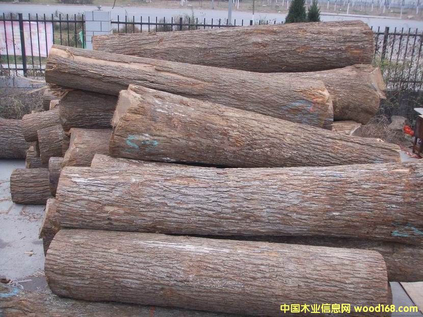 ����(gu��)ɽ����ԭľ��Ԕ��(x��)��B