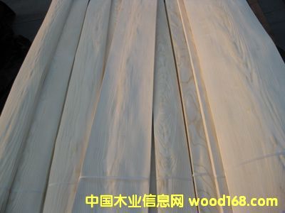 0.6�W������