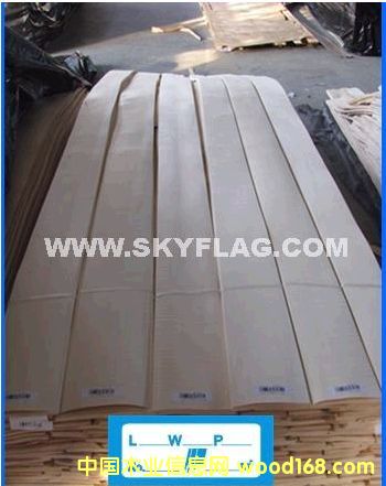 ľƤ���조ʮһ����(y��u)�݃r(ji��)