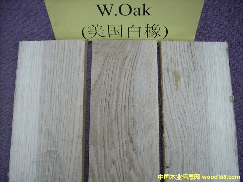 FSC����WHITE OAK) 