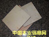 9-18�������Ӱ�