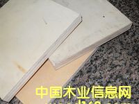 9-18�������Ӱ�