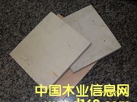 9-18�������Ӱ�