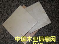 9-18�������Ӱ�