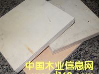 9-18�������Ӱ�