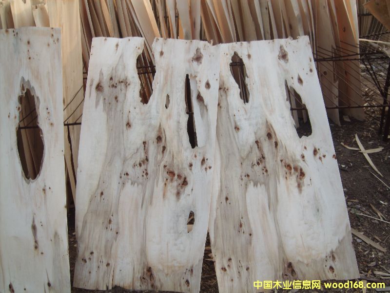 С����1.8mm��