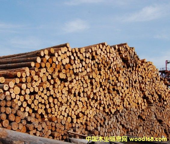 ���_˹ԭľ�����~�����ɵȣ�