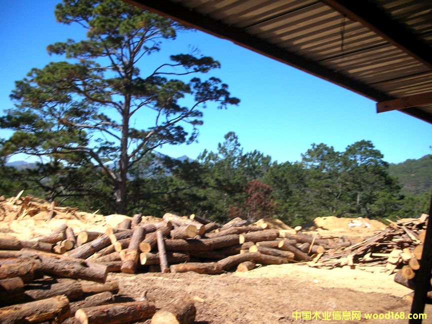 �ϓ��M(j��n)����ľ��Ԕ��(x��)��B