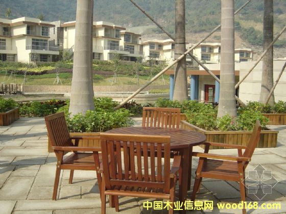 �c���鿴ľ�|(zh��)���ηŴ�DƬ