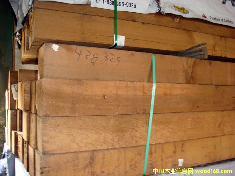 �tѩ�ɵ�Ԕ��(x��)��B