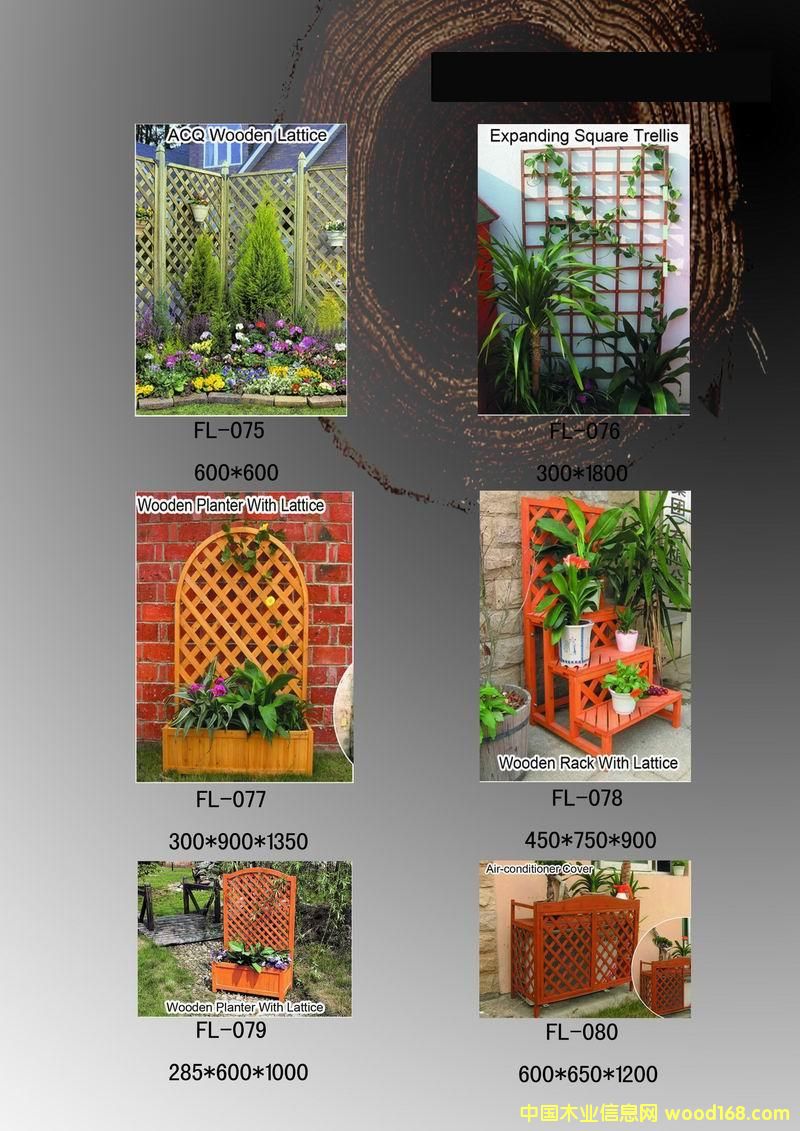 ����Ҿ�ľ��Ʒ