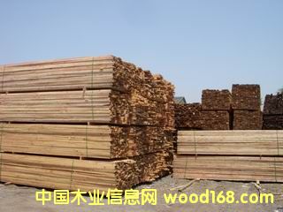 �M(j��n)�ڻ�����ľ����ľ��