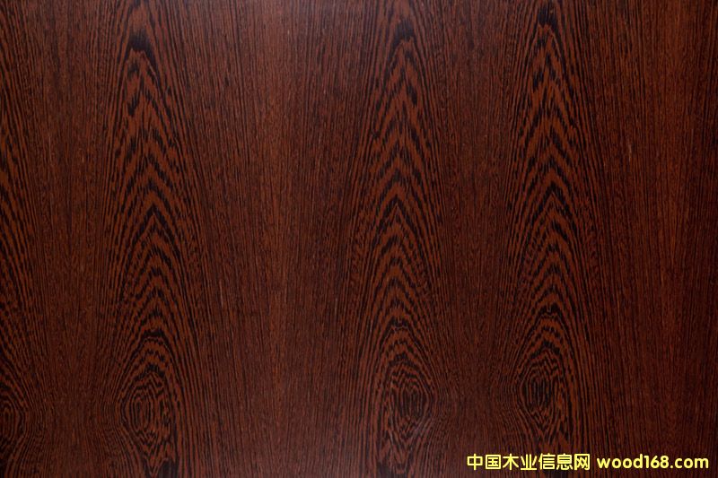 ɽ�y���F��