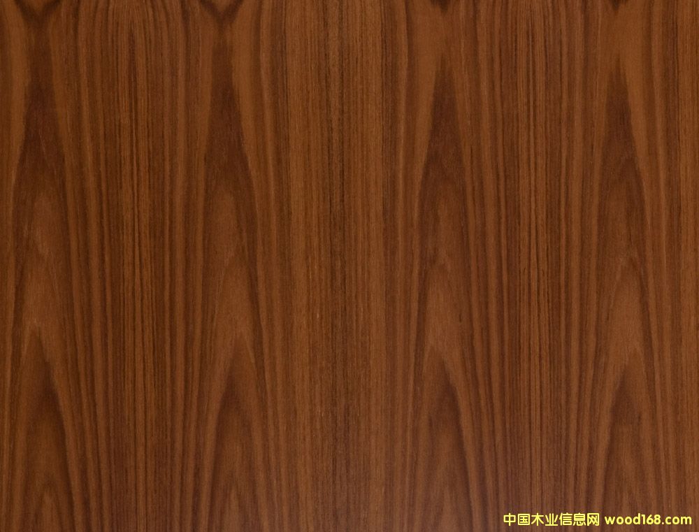 ̩�ֵ�Ԕ��(x��)��B