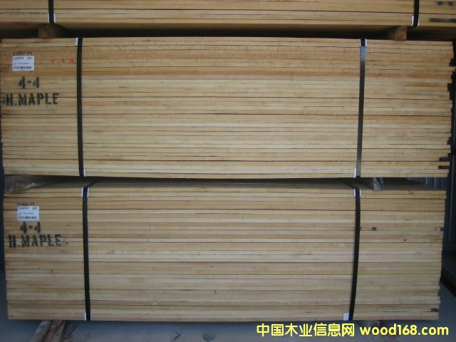 �c���鿴����Ӳľ1�Ŵ�DƬ