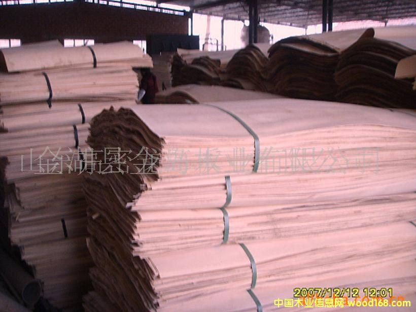 �c(di��n)���鿴��ľ��Ƥ�Ŵ�DƬ