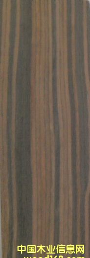 ��֦��Ԕ����B