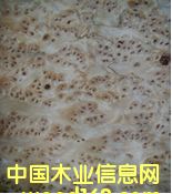 ��ɼ��(sh��)��