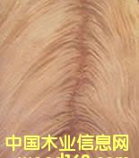 ����(y��ng)���