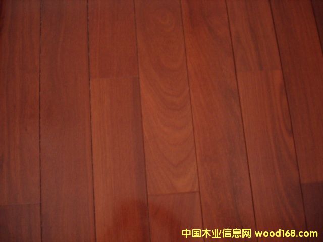 ľ�ذ����aā��