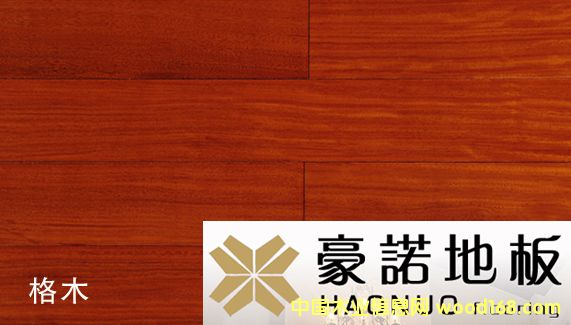 ���Z�ذ� ��ľ