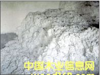 �c(di��n)���鿴ľ�|(zh��)���w�S�Ŵ�DƬ