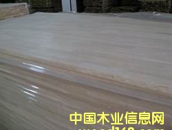 ���zľָ�Ӱ��Ԕ��(x��)��B