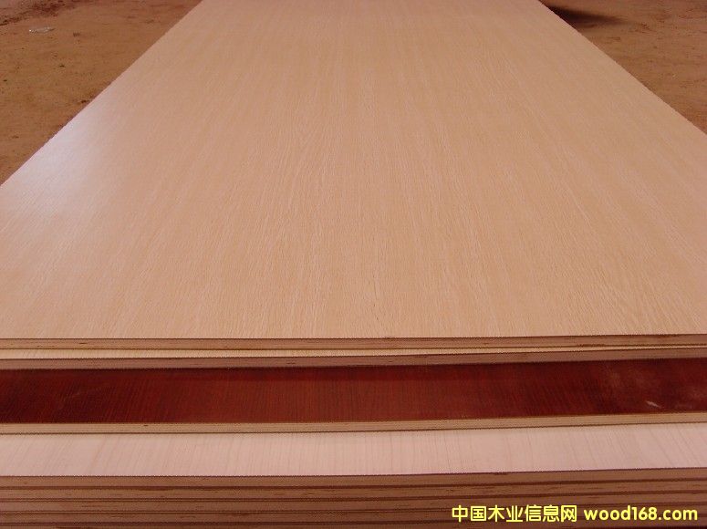 ��(sh��)ľ���Ӱ� ����ľ�y